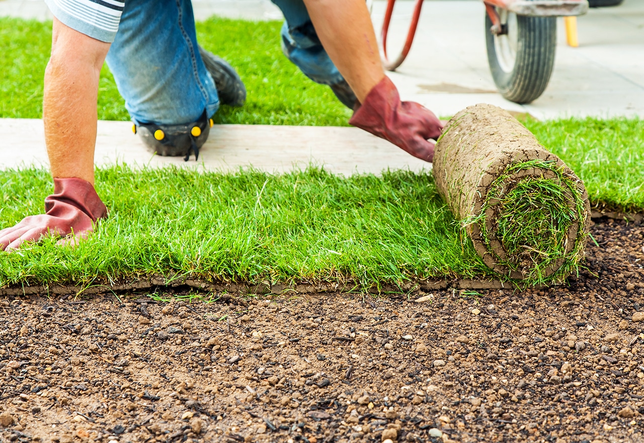 affordable sod installers, sod installation services, residential sod installation, sod installation company