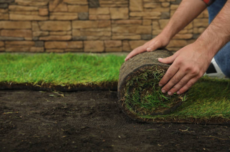 Sod Installation: The Ultimate Solution for Your Yard