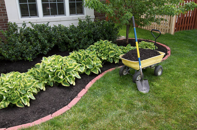 Re-Mulching: Revitalize Your Lawn for a Healthier, Lush Landscape
