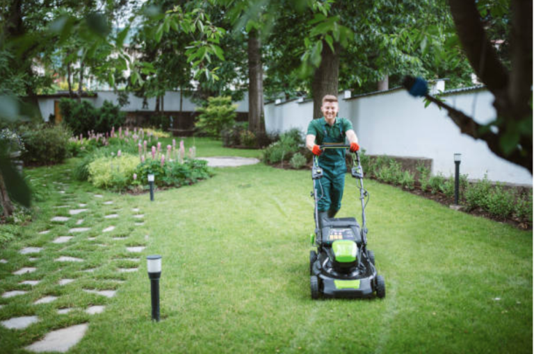 The Top Benefits of Regular Lawn Care Services